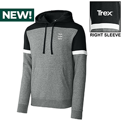 COBRAND TREX - FLEECE COLORBLOCK HOODIE